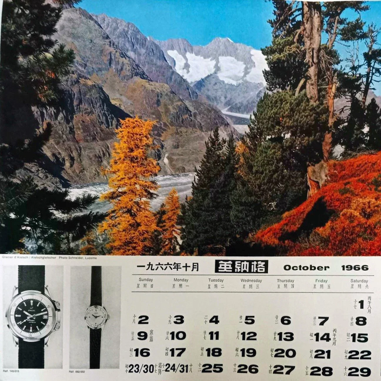 Collector's Guide: The Enicar Sherpa Ultradive Reference 144/35/03